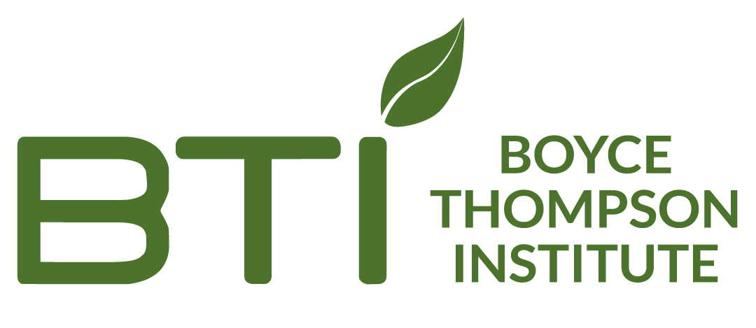 BTI